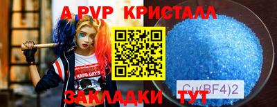 мяу мяу мука Донской